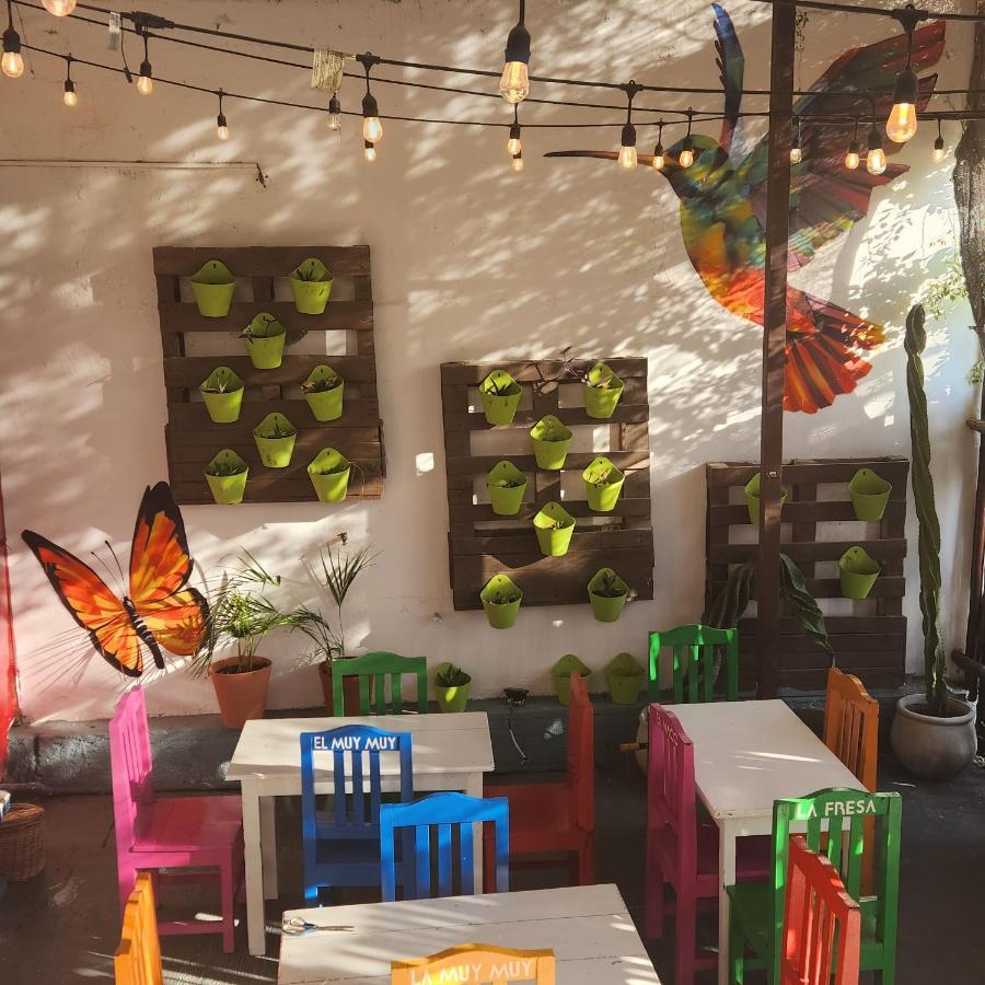 Casa Frida Villa Tulum Pueblo Buitenkant foto